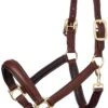 LeMieux Anatomic Leather Headcollar Brown -Saddle Shop 11364 19230