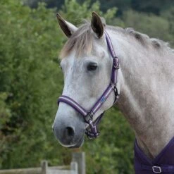 WeatherBeeta Coordinate Headcollar
