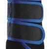 Woof Wear Training Wrap Black/Electric Blue -Saddle Shop 11755 19764