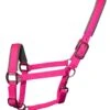 Woof Wear Contour Head Collar Berry -Saddle Shop 11870 25706
