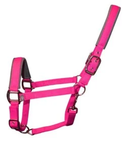 Woof Wear Contour Head Collar Berry