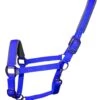 Woof Wear Contour Head Collar Electric Blue