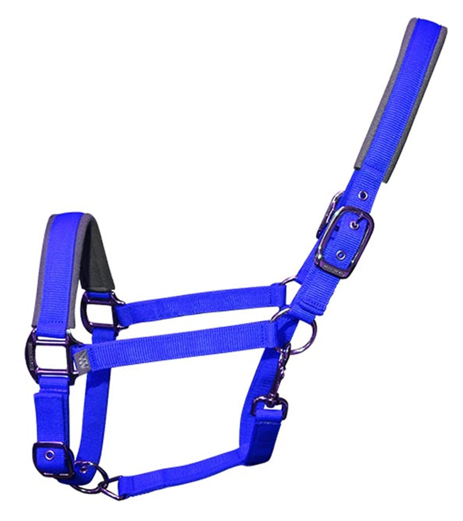 Woof Wear Contour Head Collar Electric Blue 3 Woof Wear Contour Head Collar Electric Blue