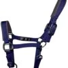 Woof Wear Contour Head Collar Navy