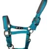 Woof Wear Contour Head Collar Ocean -Saddle Shop 11874 25710