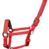 Woof Wear Contour Head Collar Royal Red -Saddle Shop 11875 25711