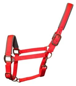 Woof Wear Contour Head Collar Royal Red