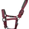 Woof Wear Contour Head Collar Shiraz -Saddle Shop 11876 25712