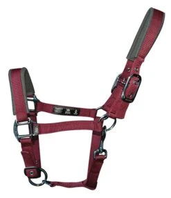 Woof Wear Contour Head Collar Shiraz