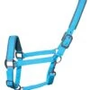 Woof Wear Contour Head Collar Turquoise 2 Woof Wear Contour Head Collar Turquoise -Saddle Shop 11877 25713