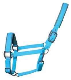 Woof Wear Contour Head Collar Turquoise