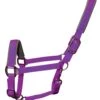 Woof Wear Contour Head Collar Ultra Violet -Saddle Shop 11878 25714