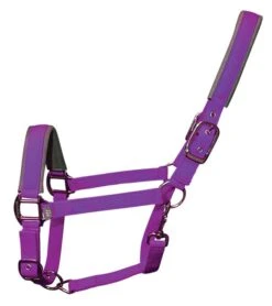 Woof Wear Contour Head Collar Ultra Violet
