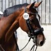 Equetech Deluxe Bridle Competition Numbers -Saddle Shop 12497 20515