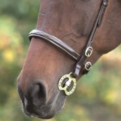 Gara Fancy Stitched In Hand Bridle -Saddle Shop 1253 20550