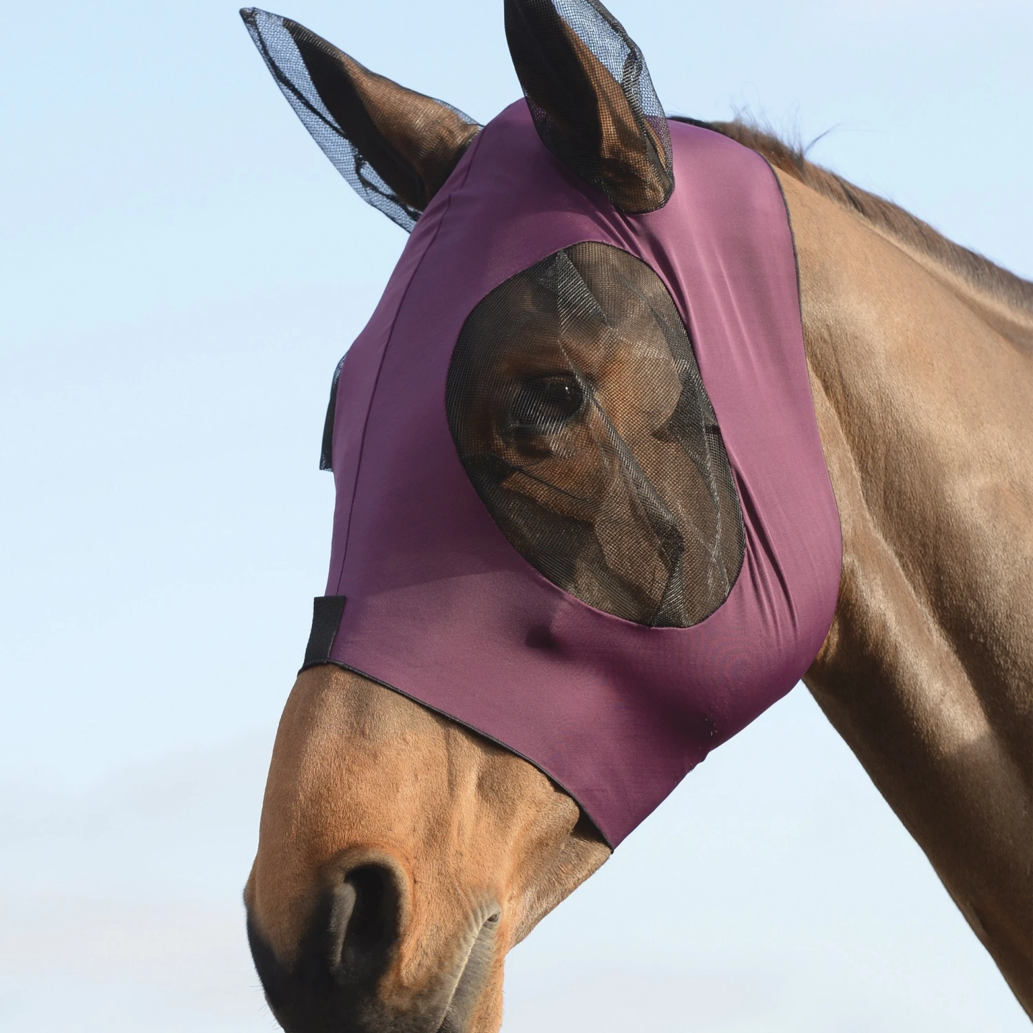 WeatherBeeta Stretch Bug Eye Saver With Ears Purple/Black 3 WeatherBeeta Stretch Bug Eye Saver With Ears Purple/Black