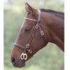 Gara Clincher In Hand Bridle -Saddle Shop 1258 20616