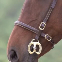Gara Clincher In Hand Bridle -Saddle Shop 1258 20618