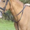 Gara Running Martingale -Saddle Shop 12611 20648