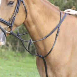 Gara Running Martingale
