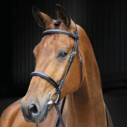 Shires Salisbury Fairford Bridle