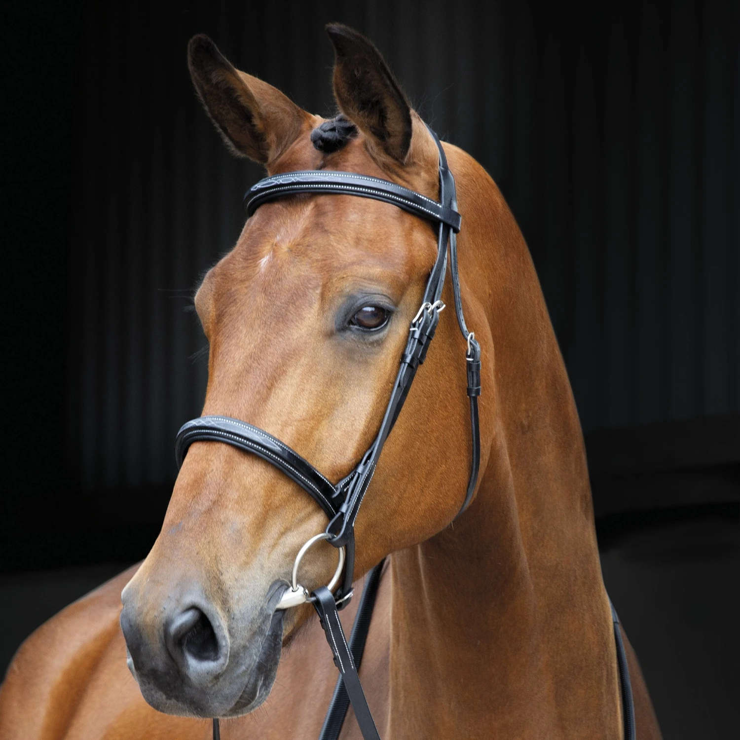 Shires Salisbury Fairford Bridle 3 Shires Salisbury Fairford Bridle