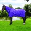 StormX Original 50 Combi Turnout Rug -Saddle Shop 12718 20774