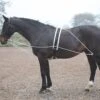 Shires Lunging Aid 1 Shires Lunging Aid -Saddle Shop 12777 20867
