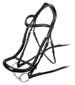 Rapida Ergonomic Curved Cavesson Bridle
