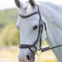 Rapida Ergonomic Curved Flash Bridle