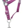 Hy Sport Active Head Collar & Rope Port Royal