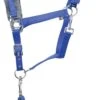 Hy Sport Active Head Collar & Rope Regal Blue