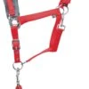 Hy Sport Active Head Collar & Rope Rosette Red