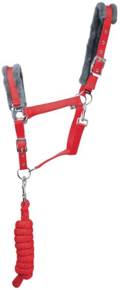 Hy Sport Active Head Collar & Rope Rosette Red