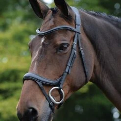 Collegiate ComFiTec Vogue Anatomical Bridle