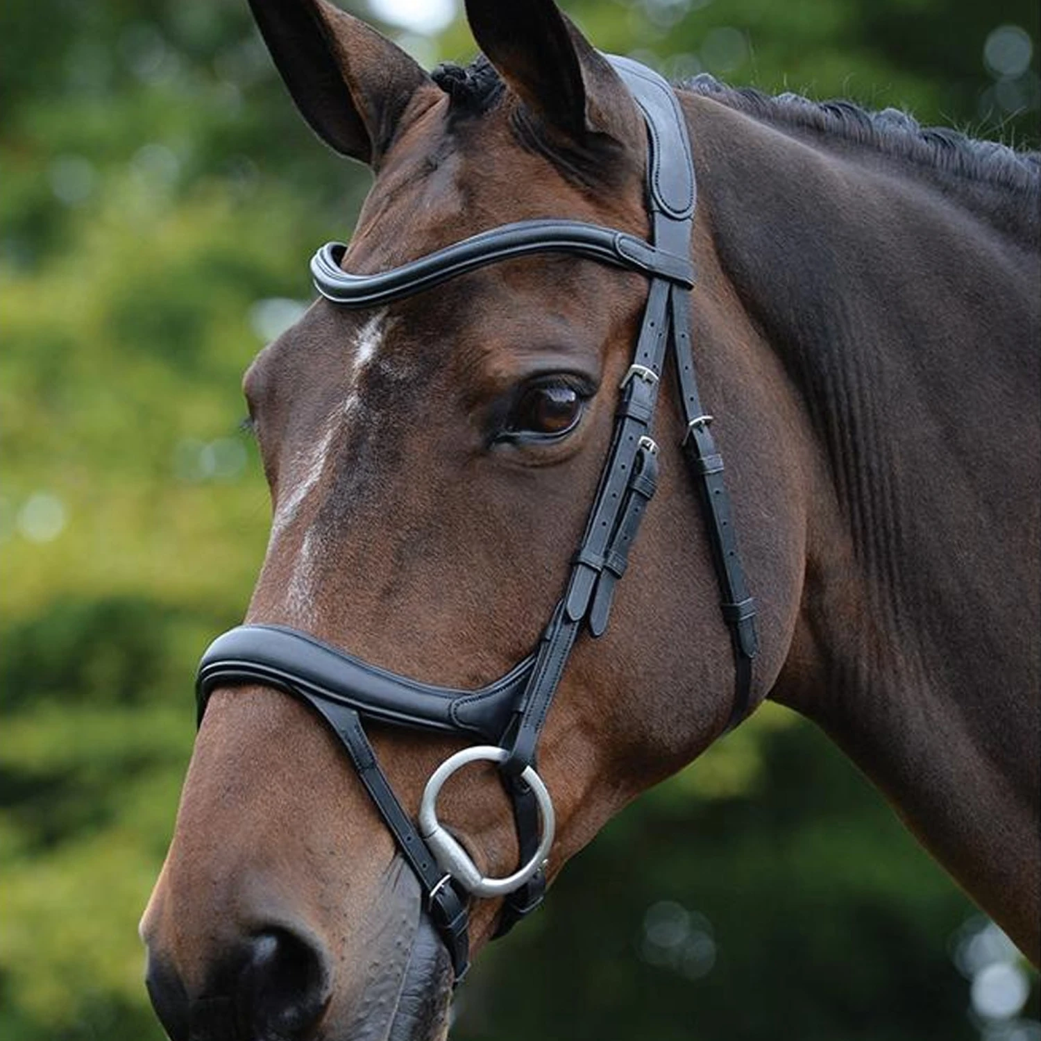 Collegiate ComFiTec Vogue Anatomical Bridle 3 Collegiate ComFiTec Vogue Anatomical Bridle