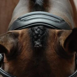 Collegiate ComFiTec Vogue Anatomical Bridle 7 Collegiate ComFiTec Vogue Anatomical Bridle -Saddle Shop 12945 24693