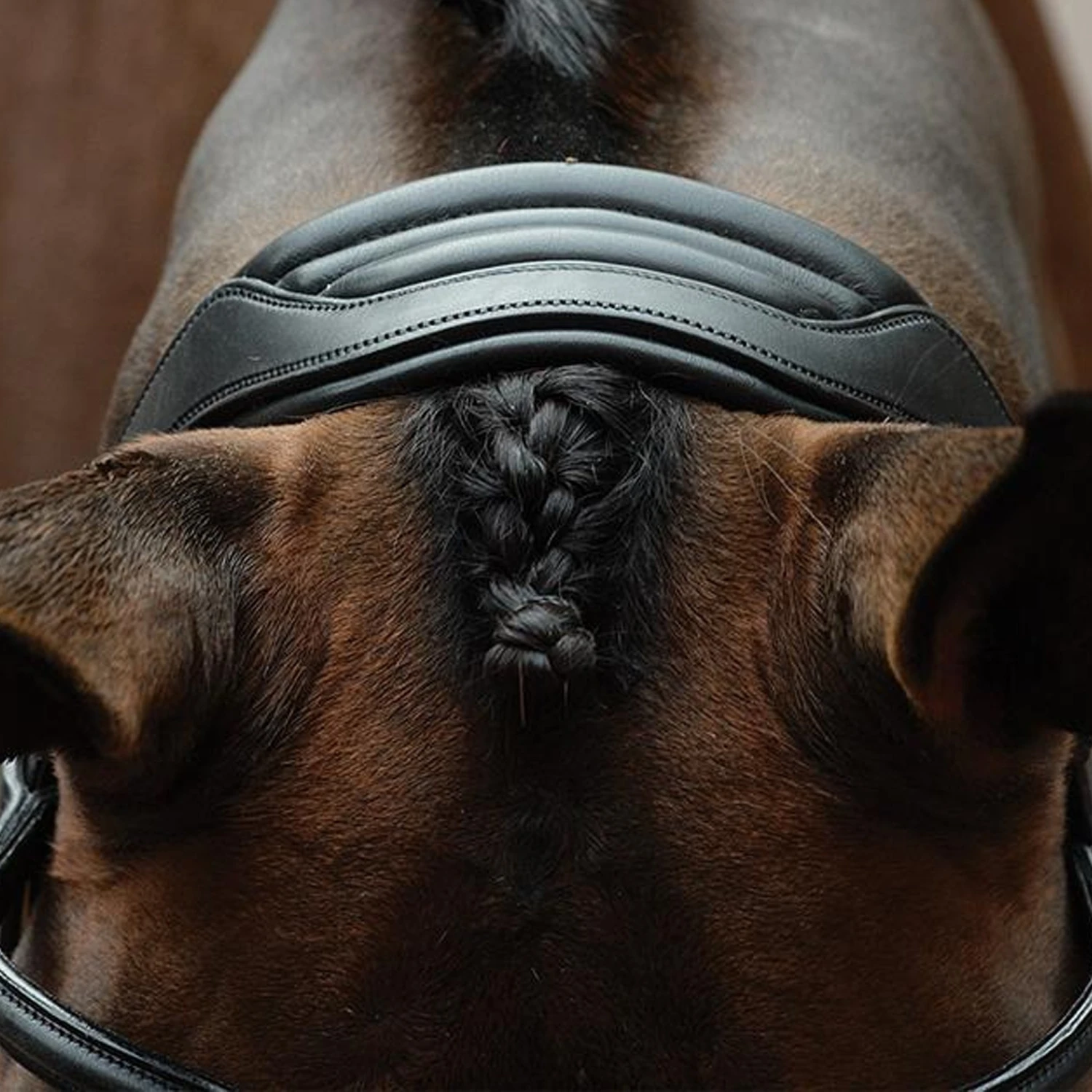 Collegiate ComFiTec Vogue Anatomical Bridle 5 Collegiate ComFiTec Vogue Anatomical Bridle - Image 3