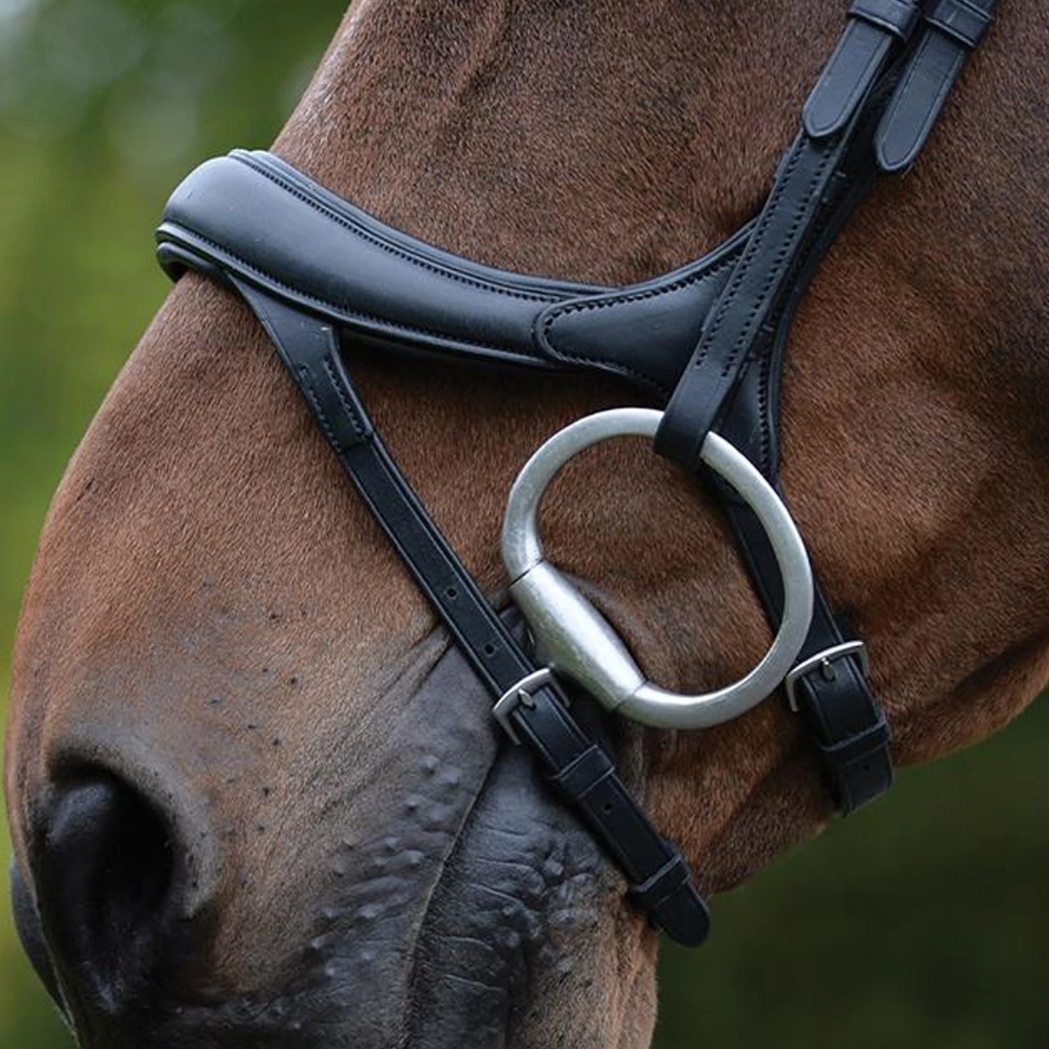 Collegiate ComFiTec Vogue Anatomical Bridle 4 Collegiate ComFiTec Vogue Anatomical Bridle - Image 2