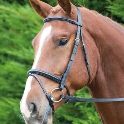 Gara Raised Flash Bridle