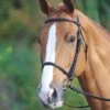 Gara Raised Cavesson Bridle 2 Gara Raised Cavesson Bridle -Saddle Shop 13213 24923