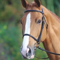 Gara Raised Cavesson Bridle