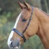 Gara Hunter Cavesson Noseband -Saddle Shop 13215 24991