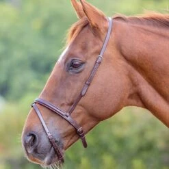 Gara Flash Noseband