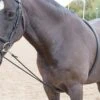 Shires Soft Lunge Aid -Saddle Shop 13226 25005