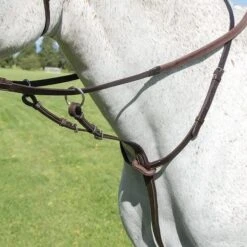 Avignon Running Martingale 7 Avignon Running Martingale -Saddle Shop 13231 24938