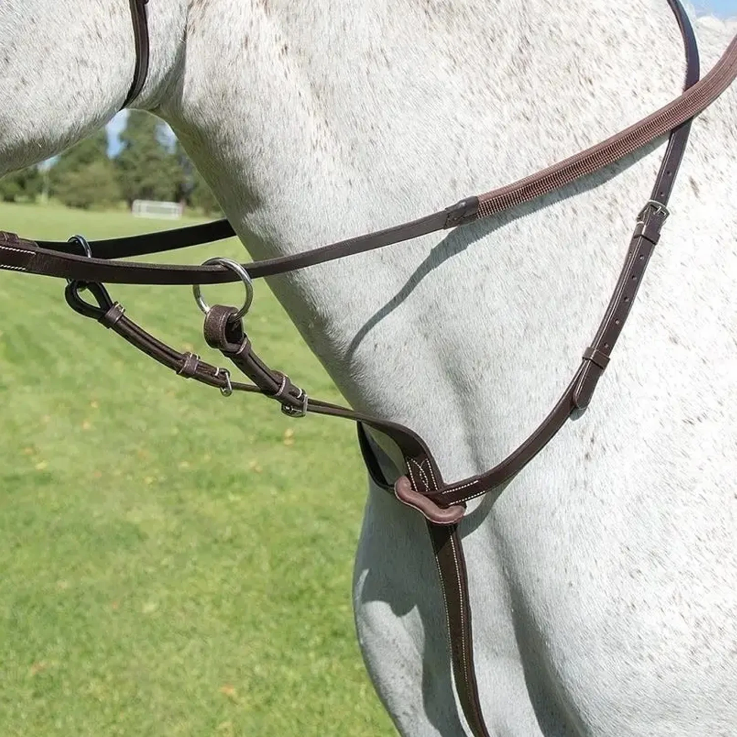 Avignon Running Martingale 5 Avignon Running Martingale - Image 3