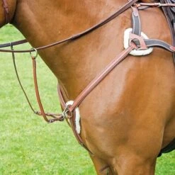 Avignon 5 Point Breastplate -Saddle Shop 13232 24936