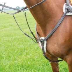 Avignon 5 Point Breastplate