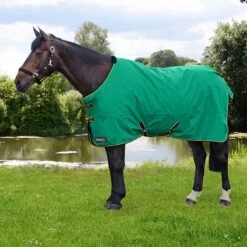 StormX Original 0 Turnout Rug